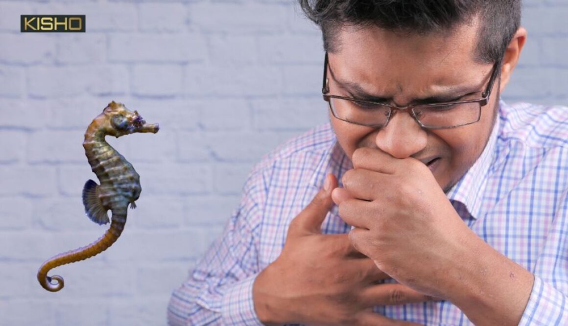 Sự thật liệu cá ngựa trị bệnh suyễn được không?
