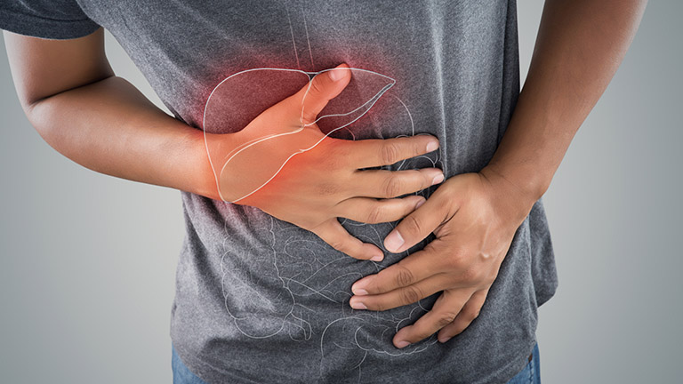 Thời điểm lý tưởng để uống thuốc giải độc gan