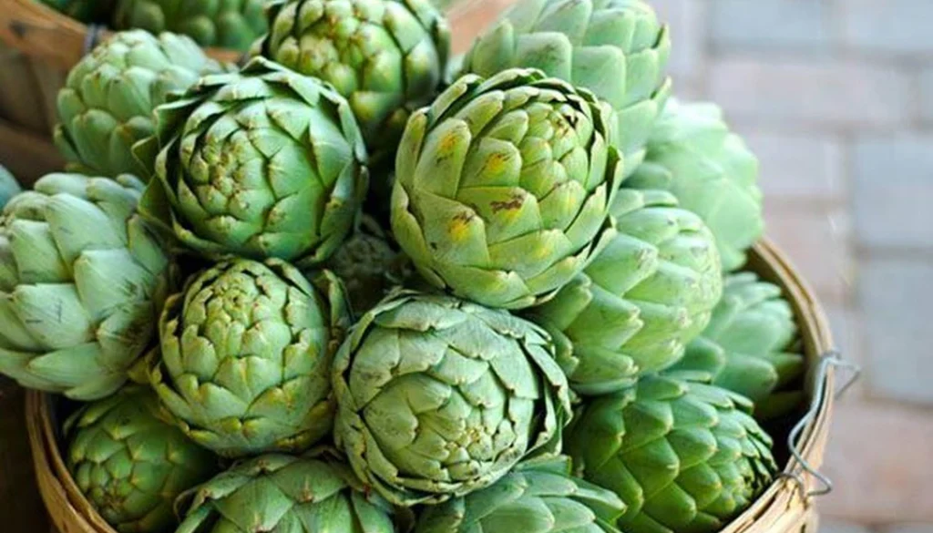 bongatiso-4600-x-402-1621176395073